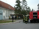 Roter Hahn Stufe 1_5