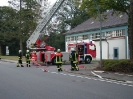 Roter Hahn Stufe 1_7