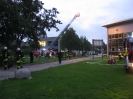 Roter Hahn Stufe 2_10