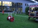 Roter Hahn Stufe 2_4