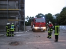 Roter Hahn Stufe 2_5