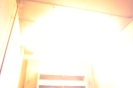 BrandcontainerRD_7