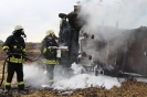 Flächenbrand Rantzau